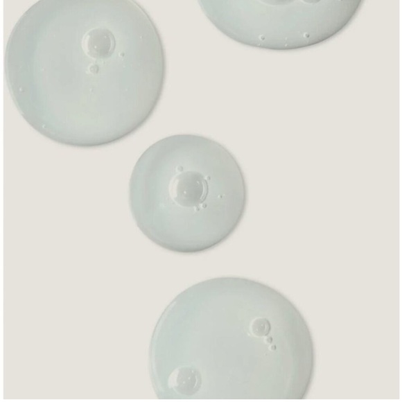 NEW Twentynine Palms Desert Tumbleweed Shampoo & Conditioner Set 16.9 oz - Picture 3 of 7